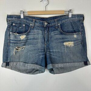 Rag&Bone  Aritzia  The Mila Short Shorts  Moss with Holes  Distressed Cut